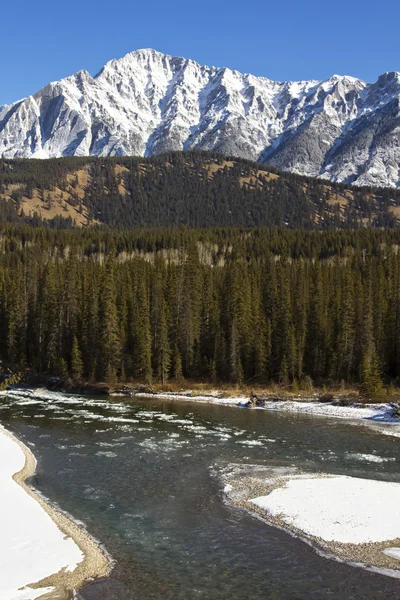 Águas geladas do rio Bow em Banff — Fotografia de Stock