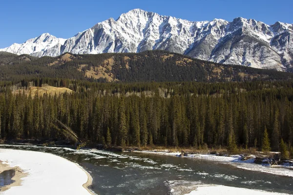 Acque gelide del fiume Bow a Banff — Foto Stock