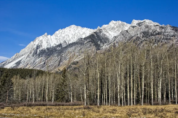 Montañas rocosas en el Parque Nacional Banff — Foto de Stock