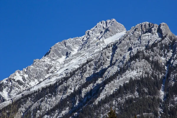 Βραχώδη βουνά στο Εθνικό Πάρκο Banff — Φωτογραφία Αρχείου