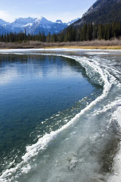 Bow River in Banff — Stock Photo, Image