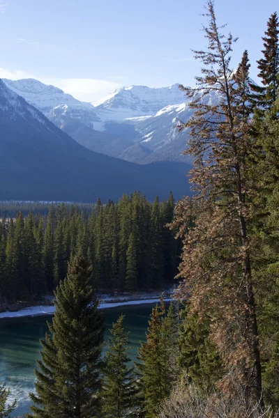 Góry skaliste w Parku Narodowym Banff — Zdjęcie stockowe