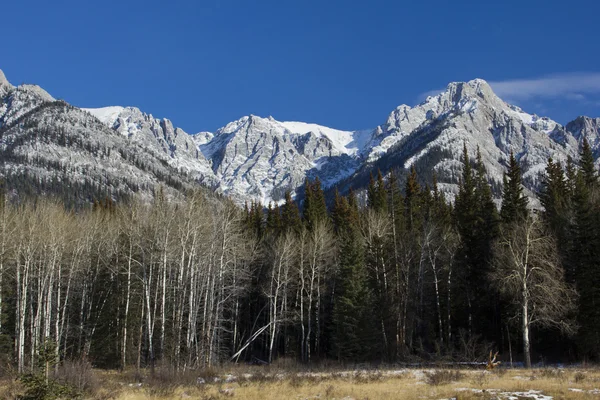 Montanhas rochosas em Banff National Park — Fotografia de Stock