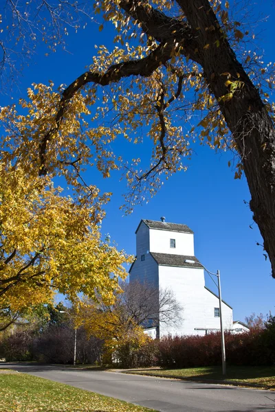 Graanelevator — Stockfoto