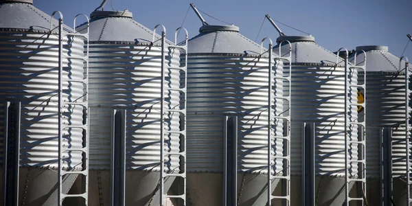 Fila di silos di grano — Foto Stock