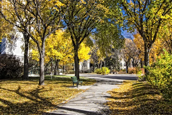 stock image Path in Autumn