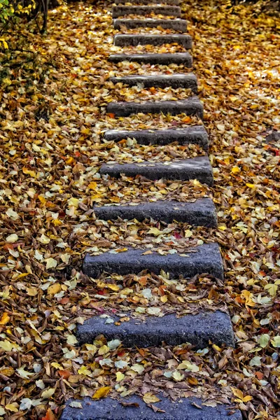 Πέτρινα σκαλοπάτια το φθινόπωρο — Φωτογραφία Αρχείου