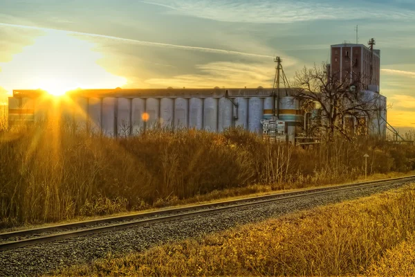 Grain terminal vid solnedgången — Stockfoto