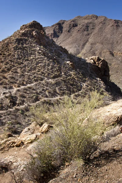 Woestijn van arizona — Stockfoto