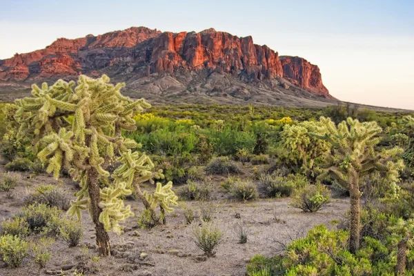 Montes del desierto — Foto de Stock