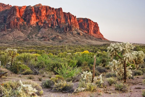 Montes del desierto — Foto de Stock