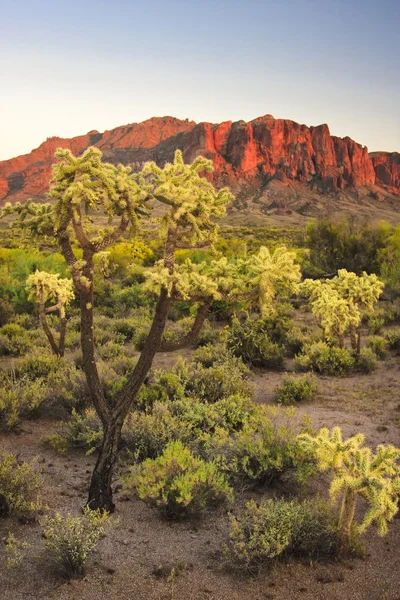 Montanhas do deserto — Fotografia de Stock
