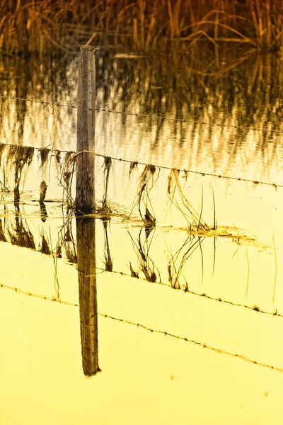 Zaun unter Wasser — Stockfoto