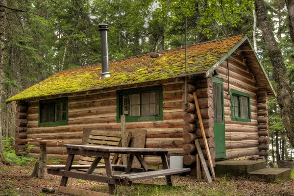 Ancien chalet rustique en rondins — Photo