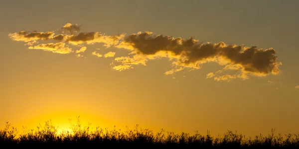 Gouden zonsondergang — Stockfoto