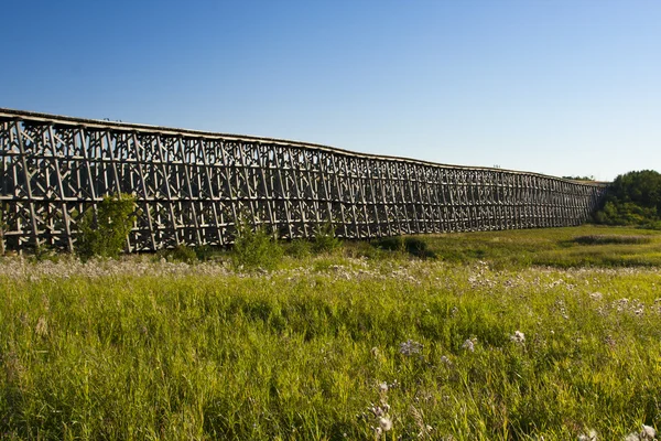 トレッスル橋 — ストック写真