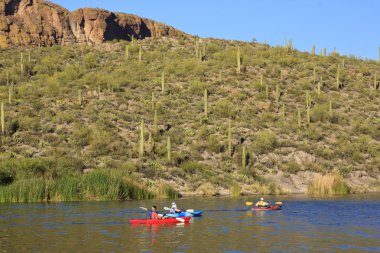 Kayaks at Lake clipart