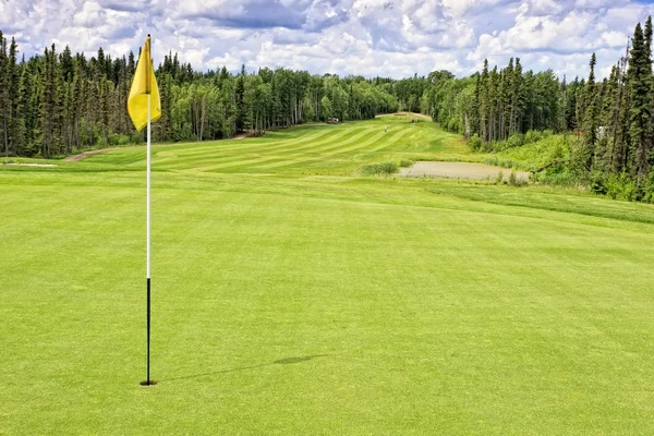 Pole golfowe fairway — Zdjęcie stockowe