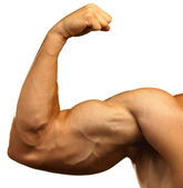 silné bicepsy