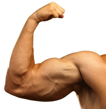 Strong biceps clipart