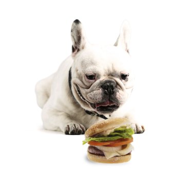 Bulldog Peynirli hamburger ile
