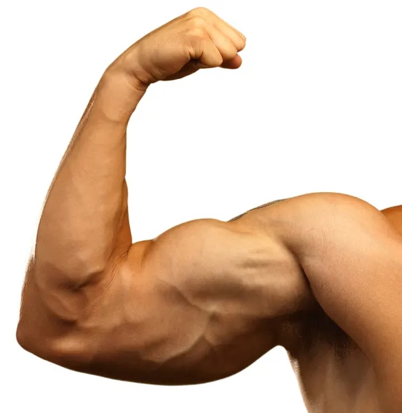 Strong biceps — Stock Photo, Image