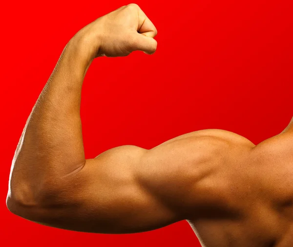 Bíceps forte — Fotografia de Stock