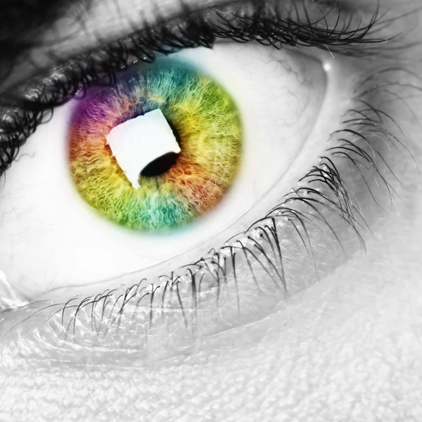 Rainbow eye — Stockfoto