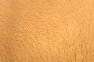 Human skin texture clipart