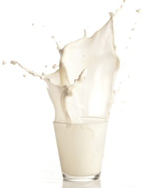 Milk splash clipart