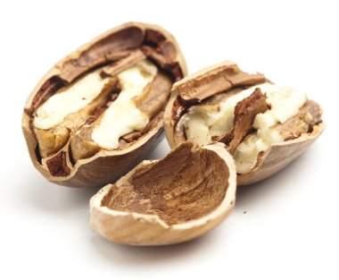 Pecan nut broken clipart