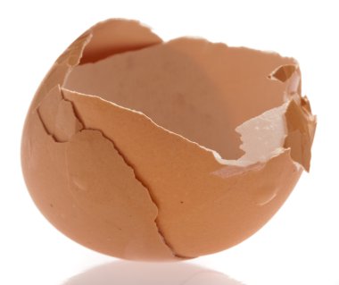 Broken egg shell