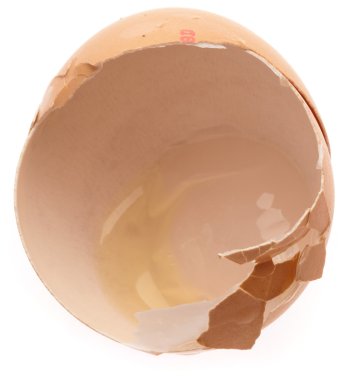 Broken egg shell