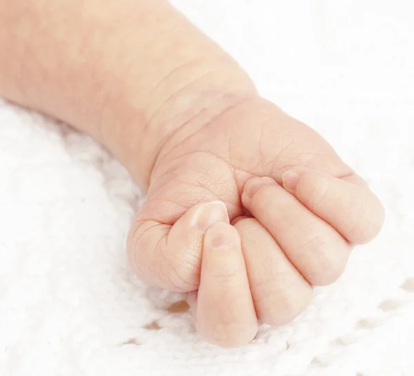 Yeni doğan bebek el — Stok fotoğraf