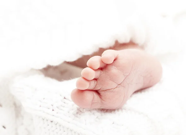 Νεογέννητο feets — Φωτογραφία Αρχείου