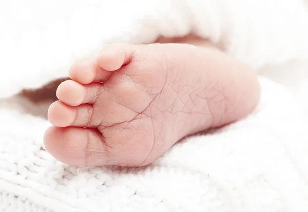 新生児 feets — ストック写真