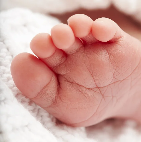 Yeni doğan ayaklar — Stok fotoğraf