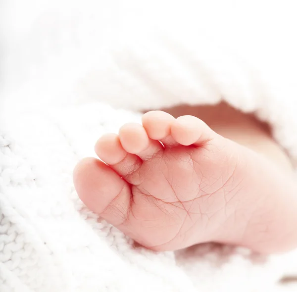 stock image Newborn feets