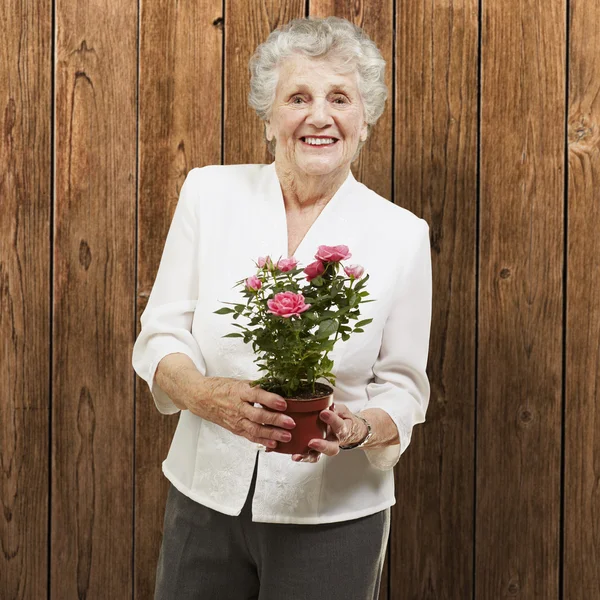 Senior woman holding a flower pot against a wooden background — Stock Photo, Image
