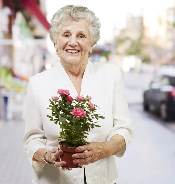 Пожилая женщина держит цветочный горшок на фоне улицы — стоковое фото