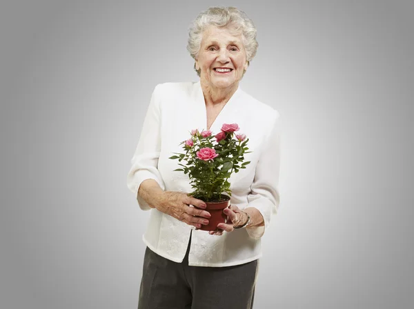 Donna anziana che tiene un vaso di fiori su uno sfondo grigio — Foto Stock