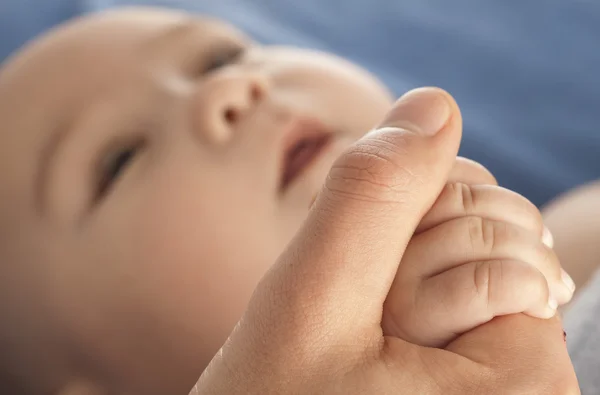 Bebek eli — Stok fotoğraf