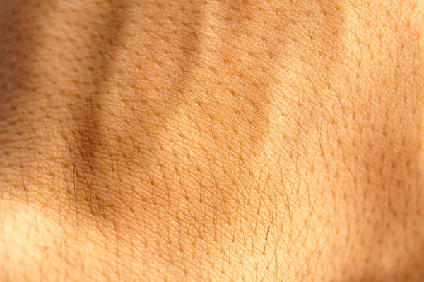 Texture umana della pelle — Foto Stock