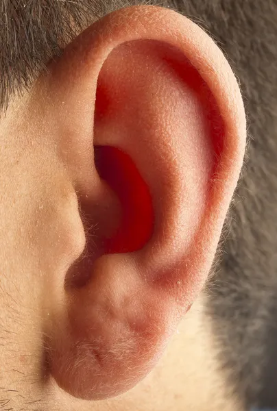 Крупним планом вухо — стокове фото