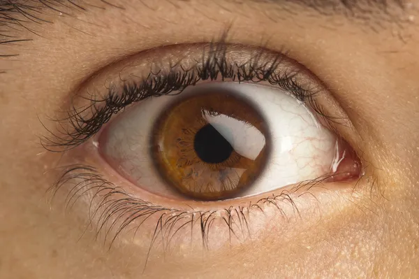 Kahverengi göz — Stok fotoğraf