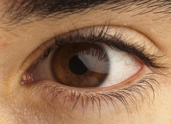 Occhio marrone — Foto Stock