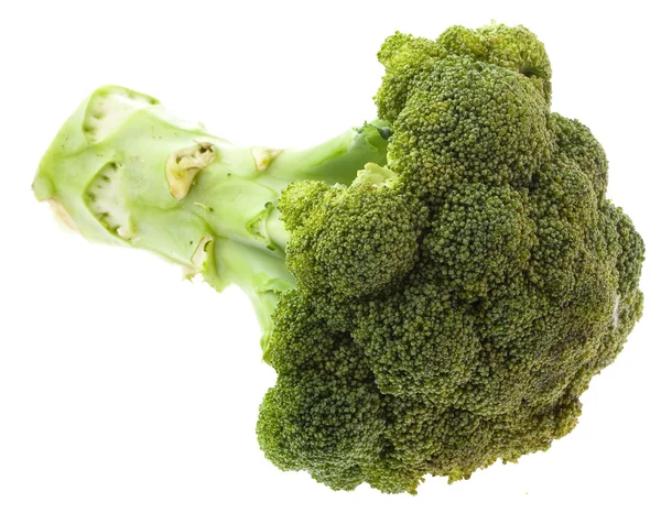 stock image Broccoli isolated