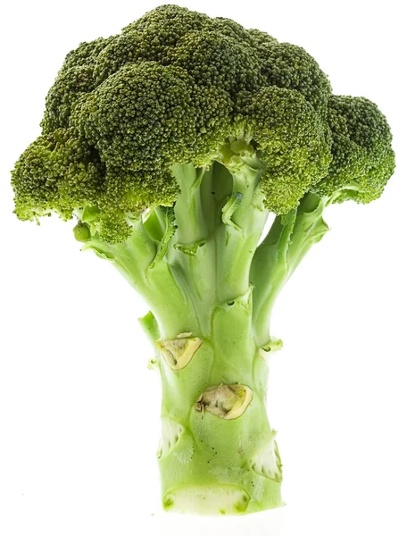 Brócoli aislado — Foto de Stock