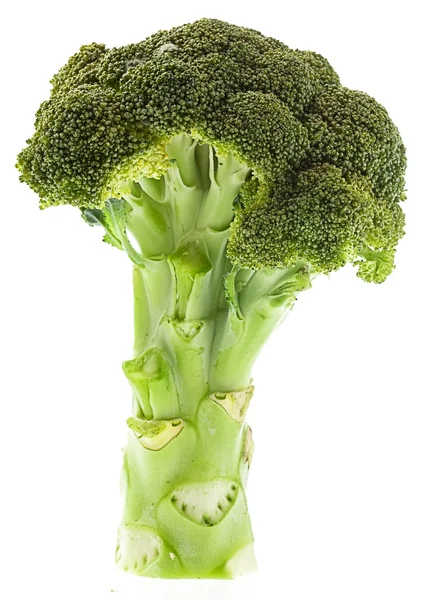 Izole brokoli — Stok fotoğraf