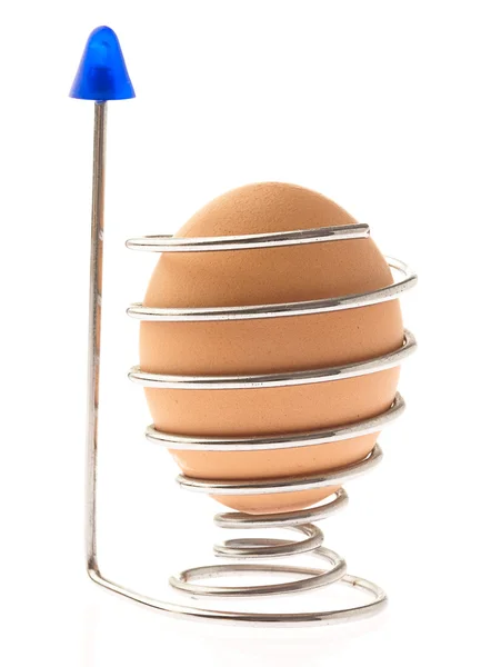 Frisches Ei — Stockfoto